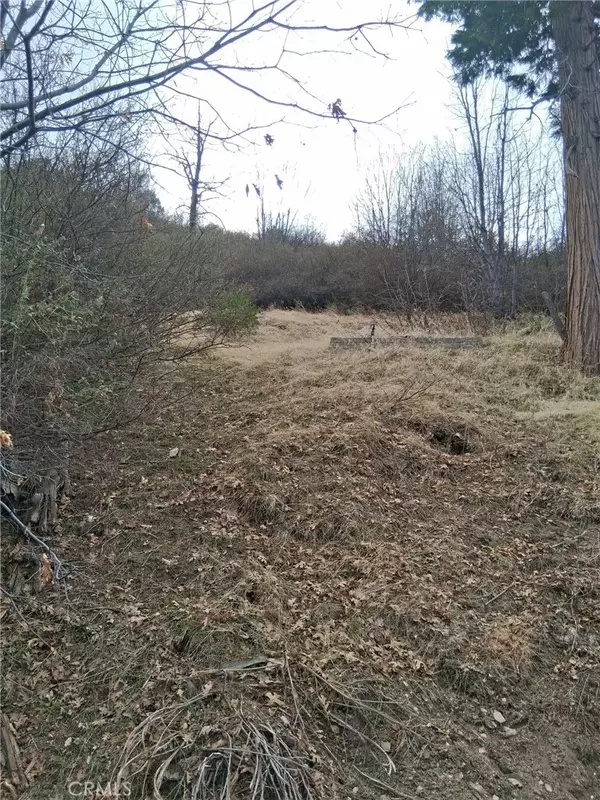0 Pine, Cedar Glen, CA 92321