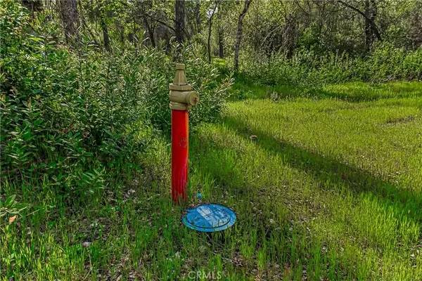 Redding, CA 96001,9200 Silver King