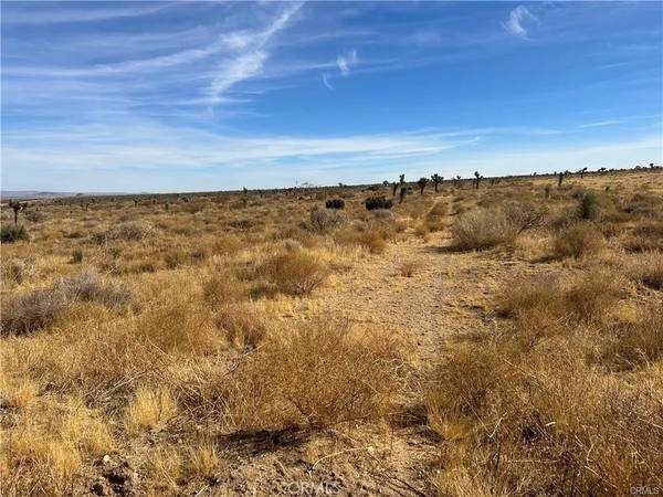Llano, CA 93544,8 Fort Tejon