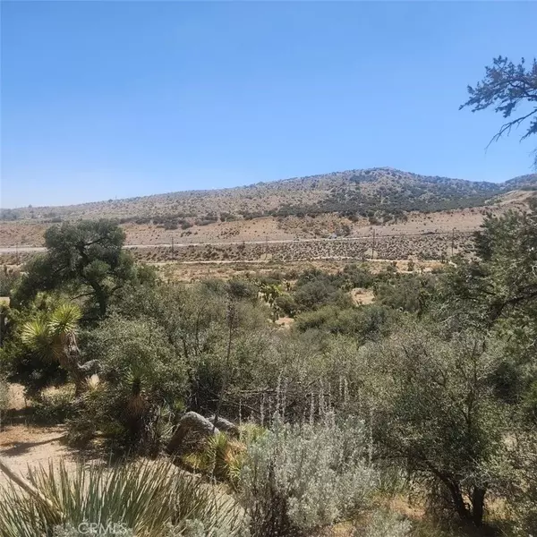 Pinon Hills, CA 92372,0 Montara