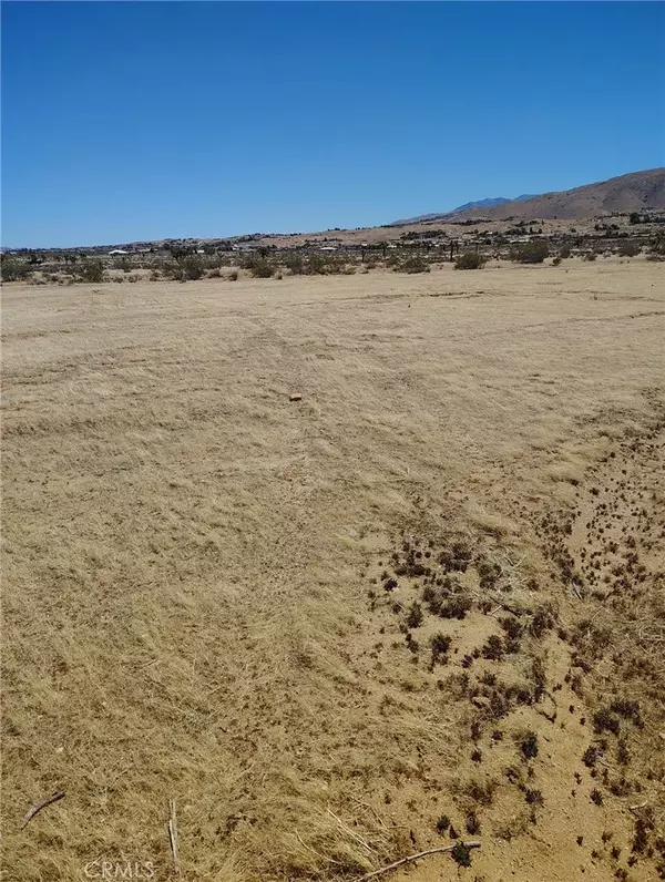 Apple Valley, CA 92308,0 Juniper