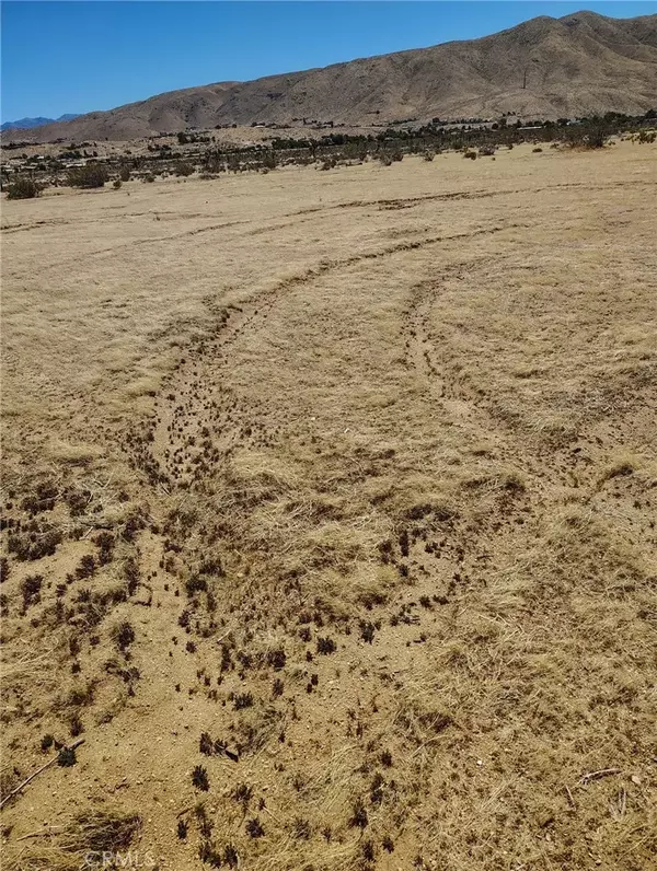 Apple Valley, CA 92308,0 Juniper