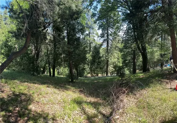 Cedarpines Park, CA 92322,0 Bone