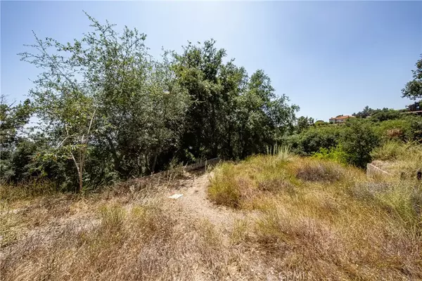 Pasadena, CA 91107,3577 Shaw Ranch