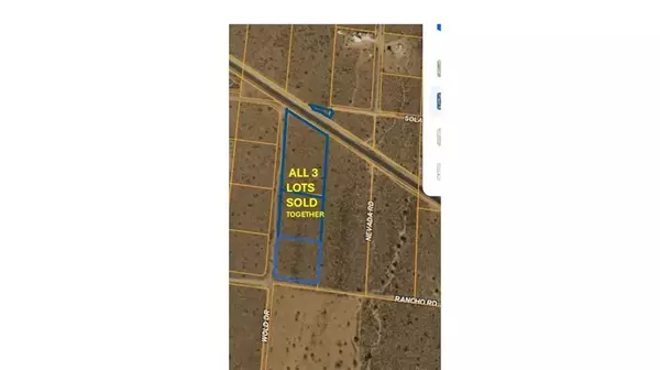 Phelan, CA 92371,11 wolf