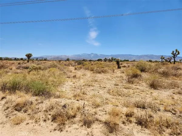 1 Coyote, Phelan, CA 92371