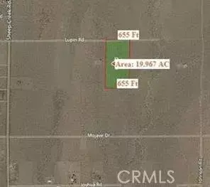 Phelan, CA 92371,0 Lupin