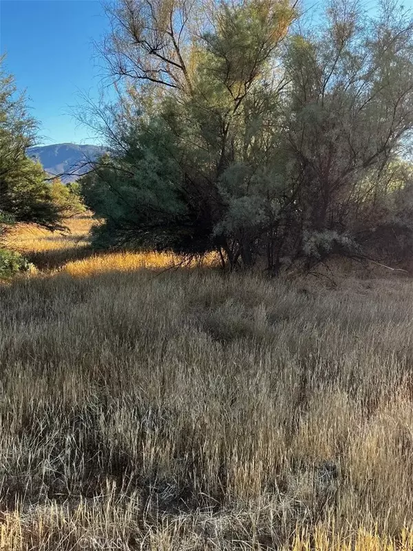 Lake Elsinore, CA 92530,0 Fremont