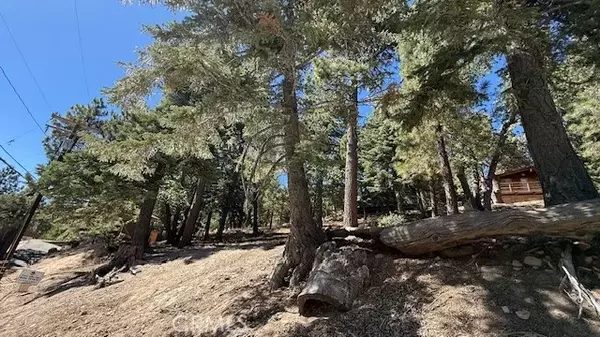 33112 Juniper, Green Valley Lake, CA 92341