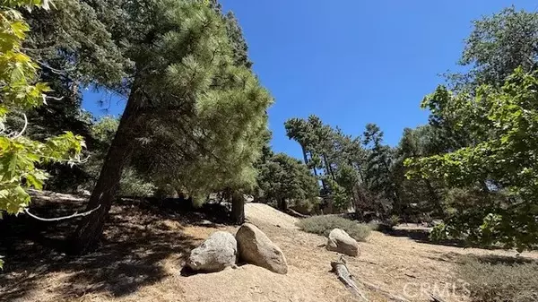 Green Valley Lake, CA 92341,0 Piedras Grande