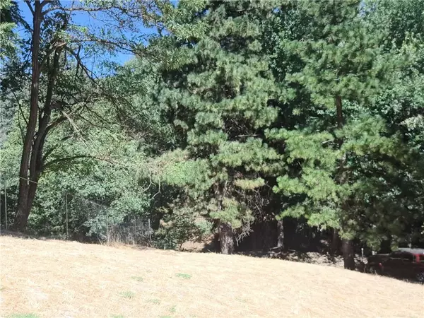 Crestline, CA 92325,24814 Edelweiss