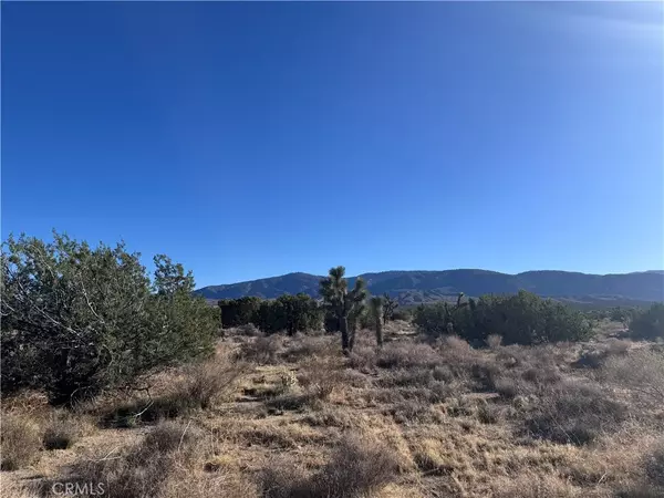 Llano, CA 93544,0 Vac/Antelope