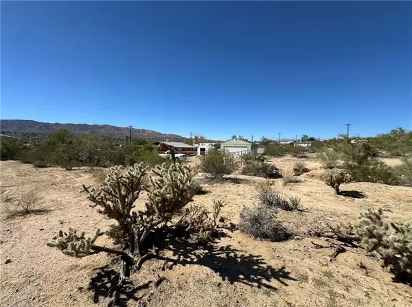 Joshua Tree, CA 92252,0 Begonia