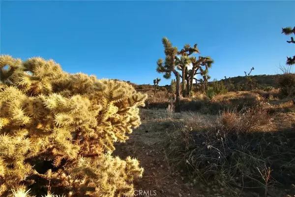 Yucca Valley, CA 92284,0 Mt View
