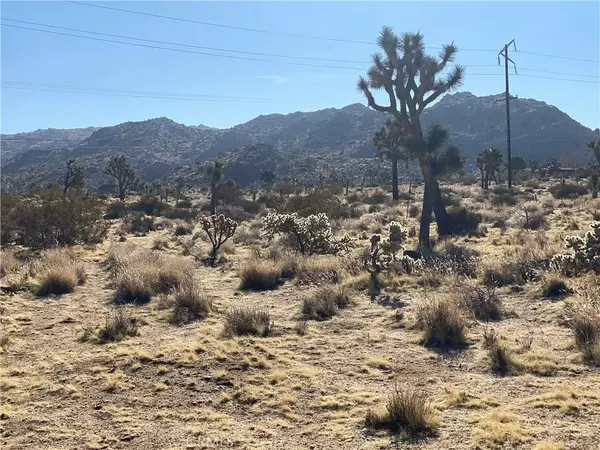 Yucca Valley, CA 92284,7800 La Contenta