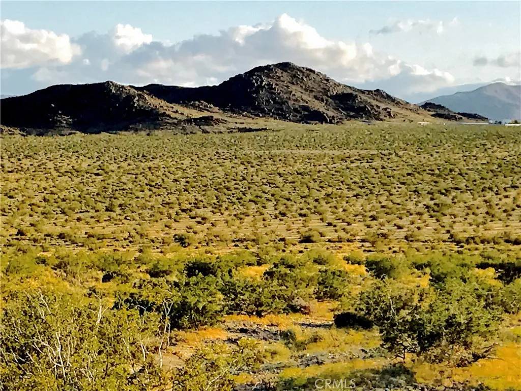 Joshua Tree, CA 92252,1000 Sunever