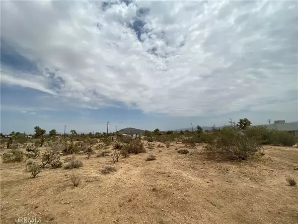 Yucca Valley, CA 92284,1234 Avalon