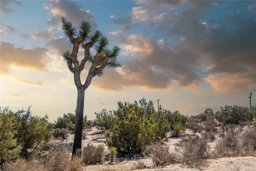 56635 Duarte, Yucca Valley, CA 92284