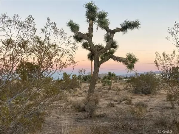 Yucca Valley, CA 92284,3651 Warren Vista