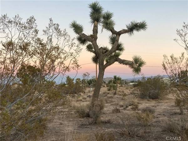 Yucca Valley, CA 92284,3651 Warren Vista