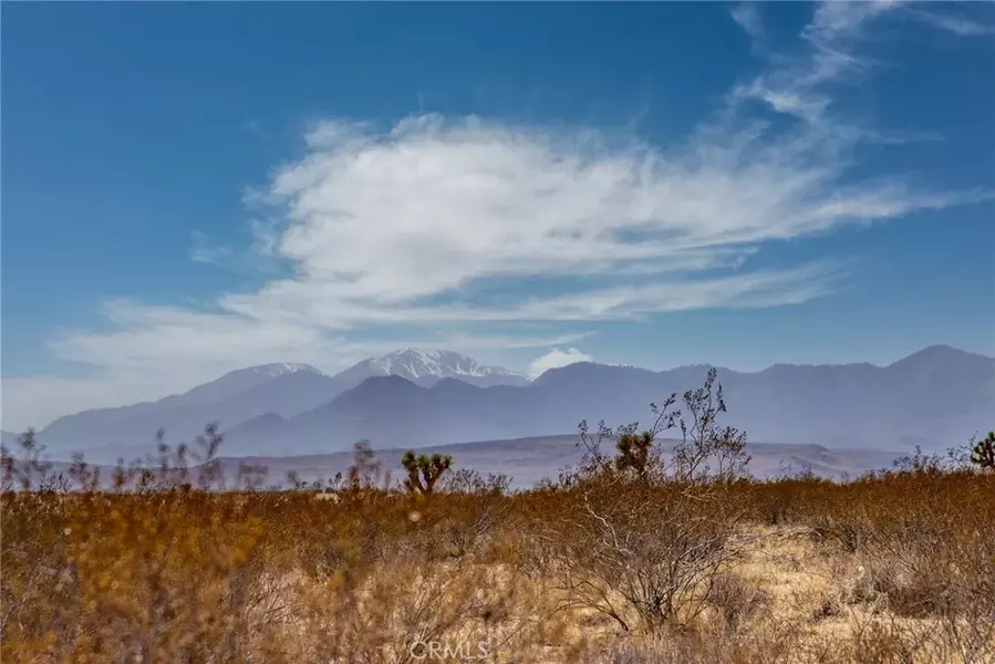 1000 Manana, Joshua Tree, CA 92252