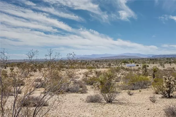 Yucca Valley, CA 92252,59000 Mesa