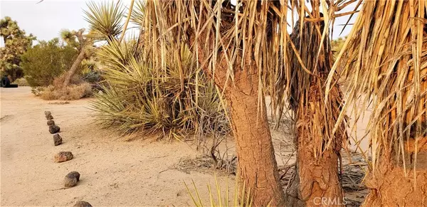 Yucca Valley, CA 92284,56885 Sunflower Drive