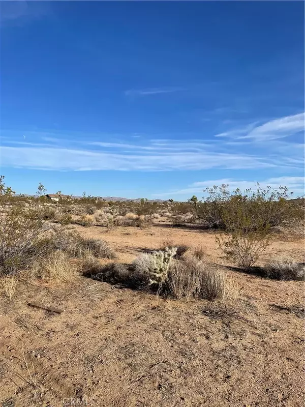 Yucca Valley, CA 92284,0 Sunny Sands