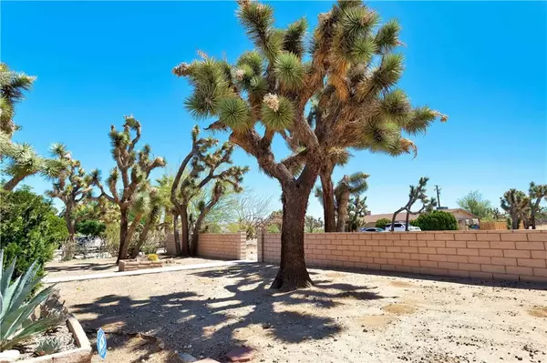 Yucca Valley, CA 92284,7388 Joshua Lane