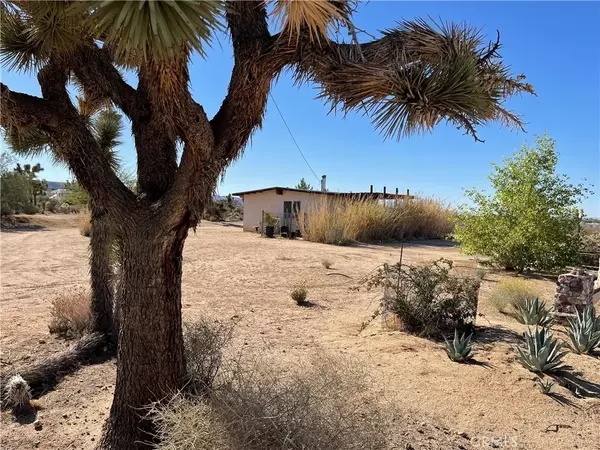 Yucca Valley, CA 92284,3990 Greasewood Street