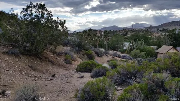 Yucca Valley, CA 92284,1 Mountain View