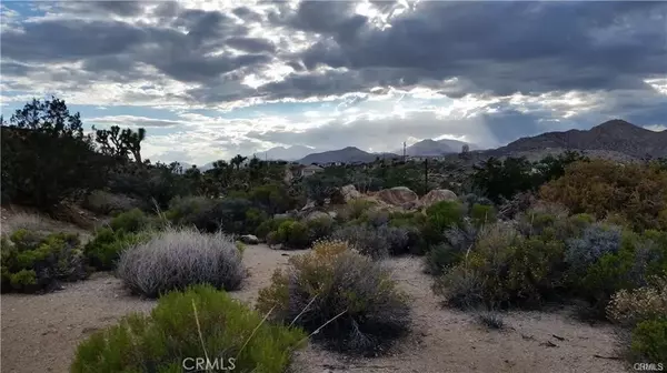 Yucca Valley, CA 92284,1 Mountain View