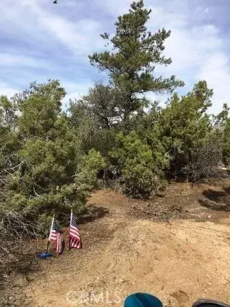 Pinyon Pines, CA 92561,0 Pinesmoke