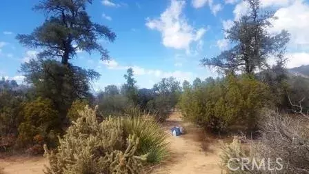 Pinyon Pines, CA 92561,0 Pinesmoke
