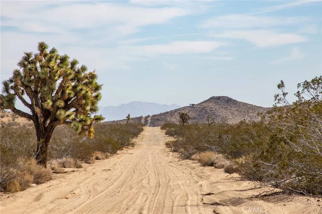 58300 Luna Vista, Landers, CA 92284
