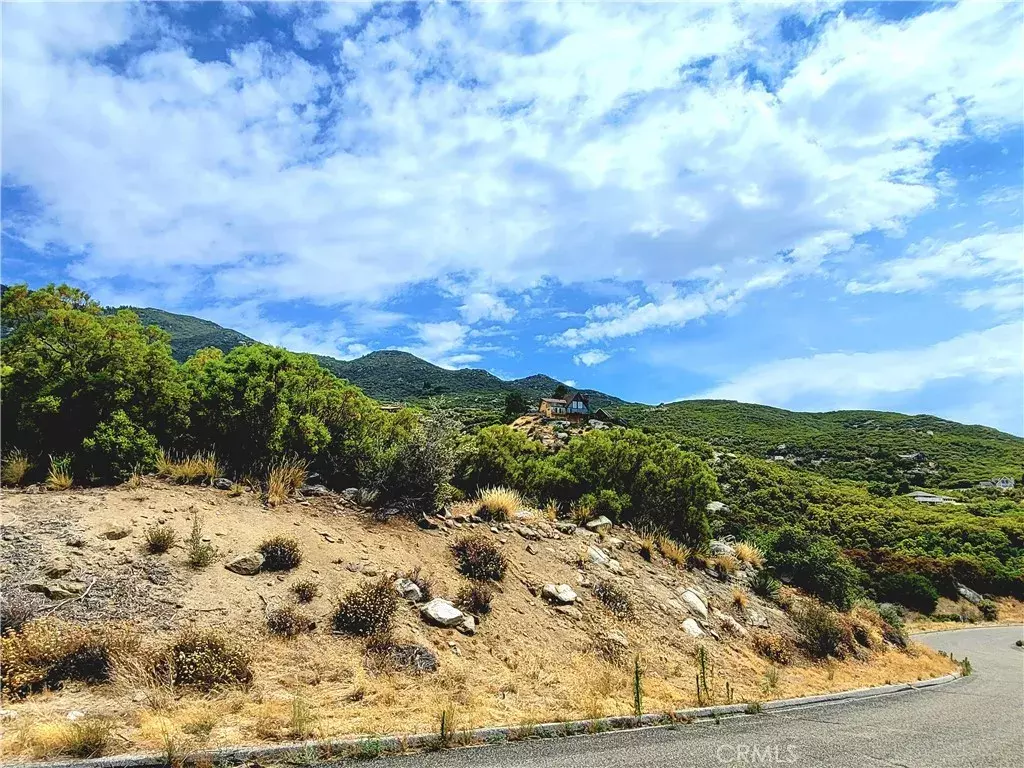 Mountain Center, CA 92561,67291 Toro Vista