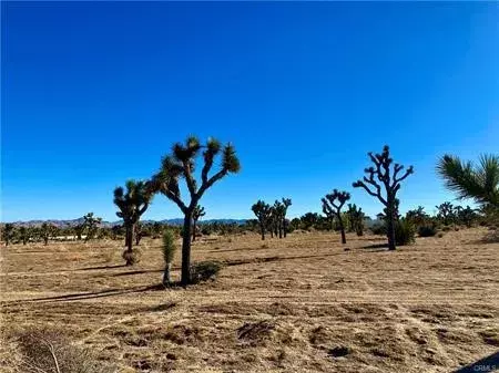 Yucca Valley, CA 92284,57031 Buena Vista