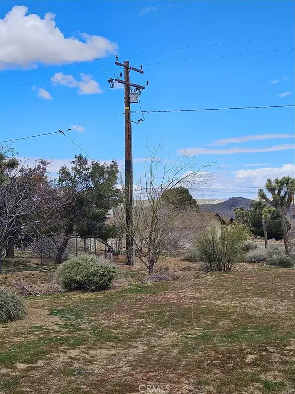 Joshua Tree, CA 92252,60374 La Mirada