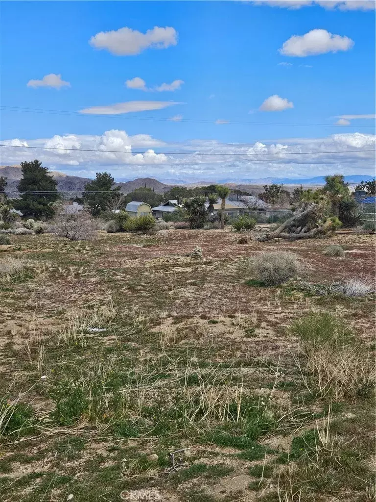Joshua Tree, CA 92252,60374 La Mirada