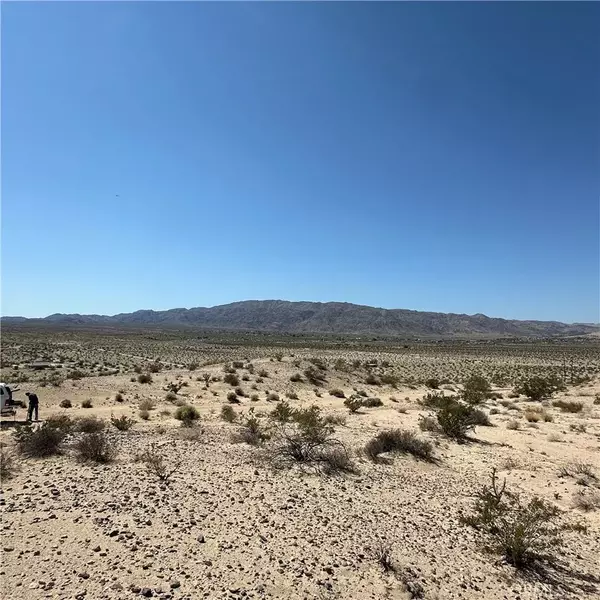 29 Palms, CA 92277,1234 Buena Vista