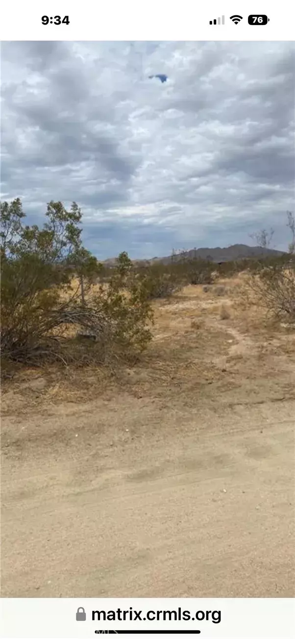Joshua Tree, CA 92252,0 Laferney