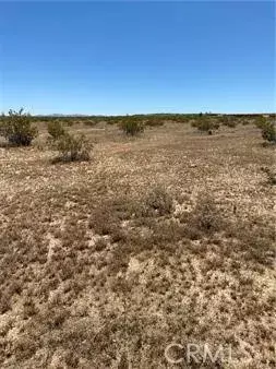 Landers, CA 92284,0 Fetlock