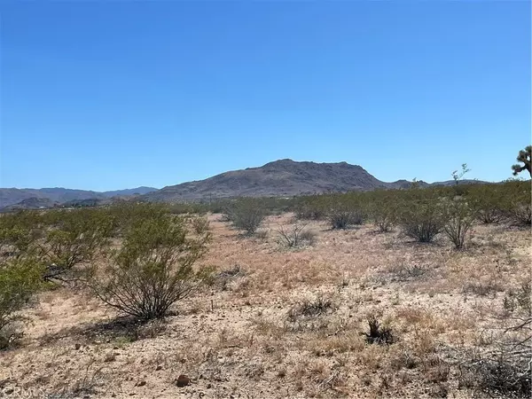 Joshua Tree, CA 92252,0 Polaris