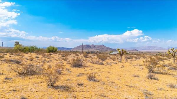 Yucca Valley, CA 92284,0 Alta