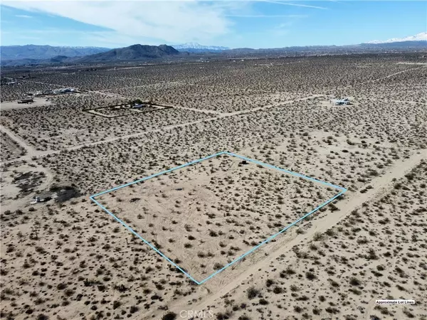 Joshua Tree, CA 92252,1234 Desert Lily