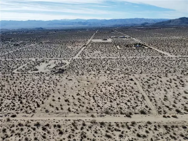 Joshua Tree, CA 92252,1234 Desert Lily
