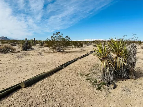 1234 Desert Lily, Joshua Tree, CA 92252
