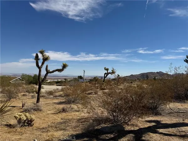 Joshua Tree, CA 92252,7217 Sunny Vista