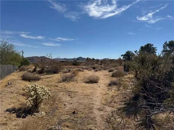 7217 Sunny Vista, Joshua Tree, CA 92252