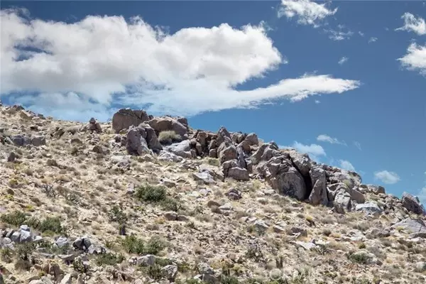 Joshua Tree, CA 92252,60300 Mountain